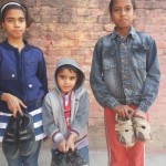 1538939_588844244503156_83764048_n