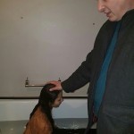 16406893_1218192118246573_9082822217834360904_n