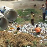 524130_804331642954414_3161076658776855585_n