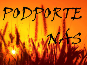 banner2